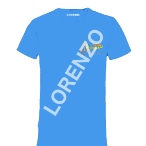 Tee-shirt Lycée Joseph Pernock