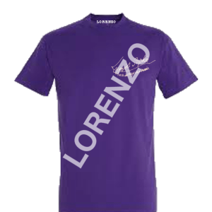 Tee-shirt Lycée LUMINA SOPHIE Violet