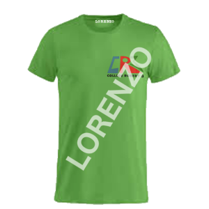 Tee-shirt Collège Robert 3