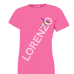 Tee-shirt Lycée REMOND NERIS